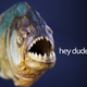 Illustration for article titled Those Motherf*cking Piranhas Can Talk to Each Other